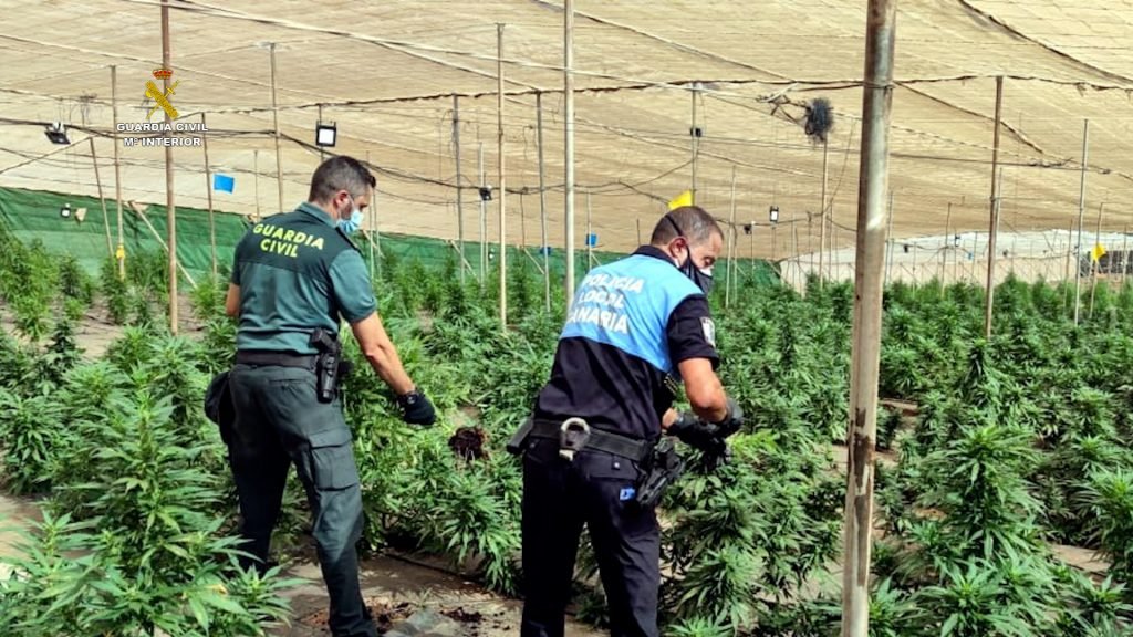 Plantage auf GC