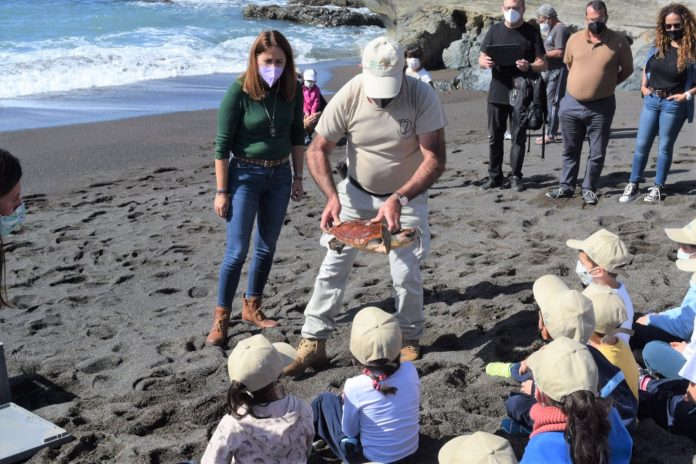 Freisetzung von 3 Schildkröten in Ajuy
