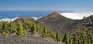 La Palma Wissenschaftler dementieren Vulkanreaktivierung