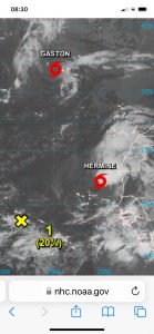 Tropensturm HERMINE