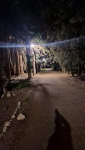 und es ward Licht