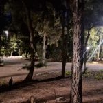 WhatsApp Image 2023-02-28 at 19.29.09