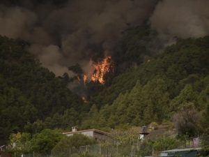 Feuerwehren aus Fuerteventura helfen auf Teneriffa