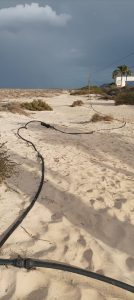 La Oliva Entfernung der Telefonmasten im Naturpark Las Dunas