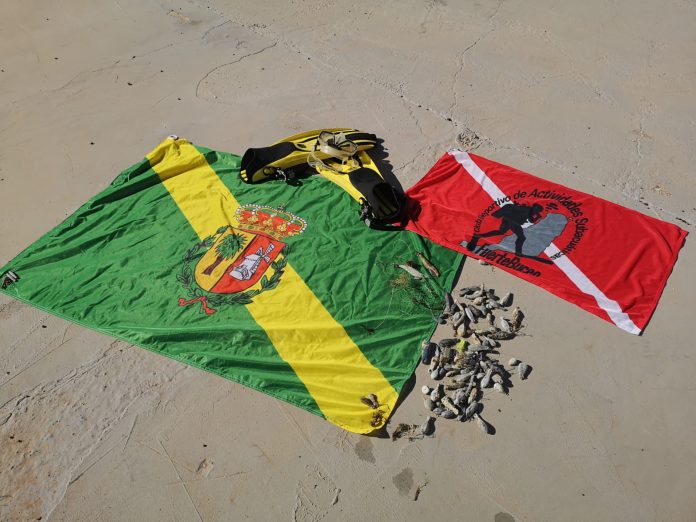 Fuertebuceo