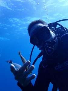 Fuertebuceo