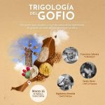 WhatsApp Bild 2024-03-12 um 19.32.05_b871379c