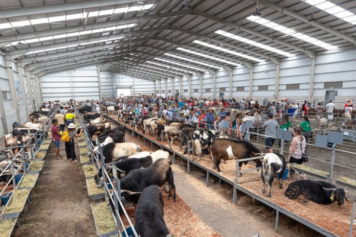 Messe für Landwirtschaft, Viehzucht und Fischerei auf Fuerteventura