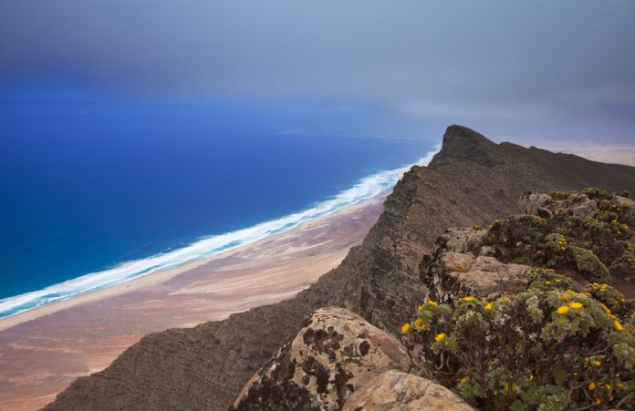 Schutz der autochthonen Flora am Pico de la Zarza