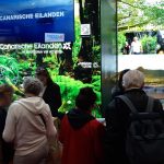 Feria Beleef Turismo Canarias 110924 (1)