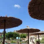 kanaren-migrantenrekord-erwartet