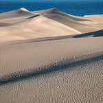 erfolg-bei-der-wiederherstellung-der-duenen-von-maspalomas