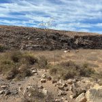 reinigung-des-rio-cabras