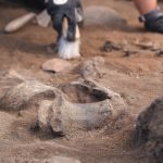 neue-archaeologische-strukturen-auf-lobos-entdeckt