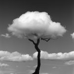 chema-madoz-die-natur-der-dinge