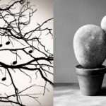 chema-madoz-die-natur-der-dinge