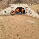 sandentfernung-an-der-fv-2-in-costa-calma