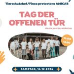 Amicab header