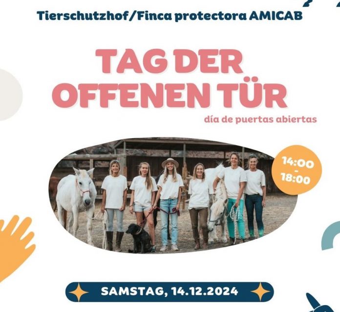 Tag der offenen Tür bei AMICAB am 14.12.2024