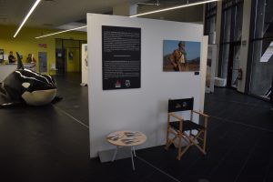 Fuerteventura: Natürliche Filmkulisse in Gran Tarajal
