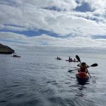 nautisches-zentrum-fuerteventura-startet-neu