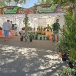 Mercado-Agricola-de-Antigua-cada-primer-domingo-de-mes-3