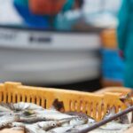 efd84f4e-57e6-4c23-a310-756dbc721a14