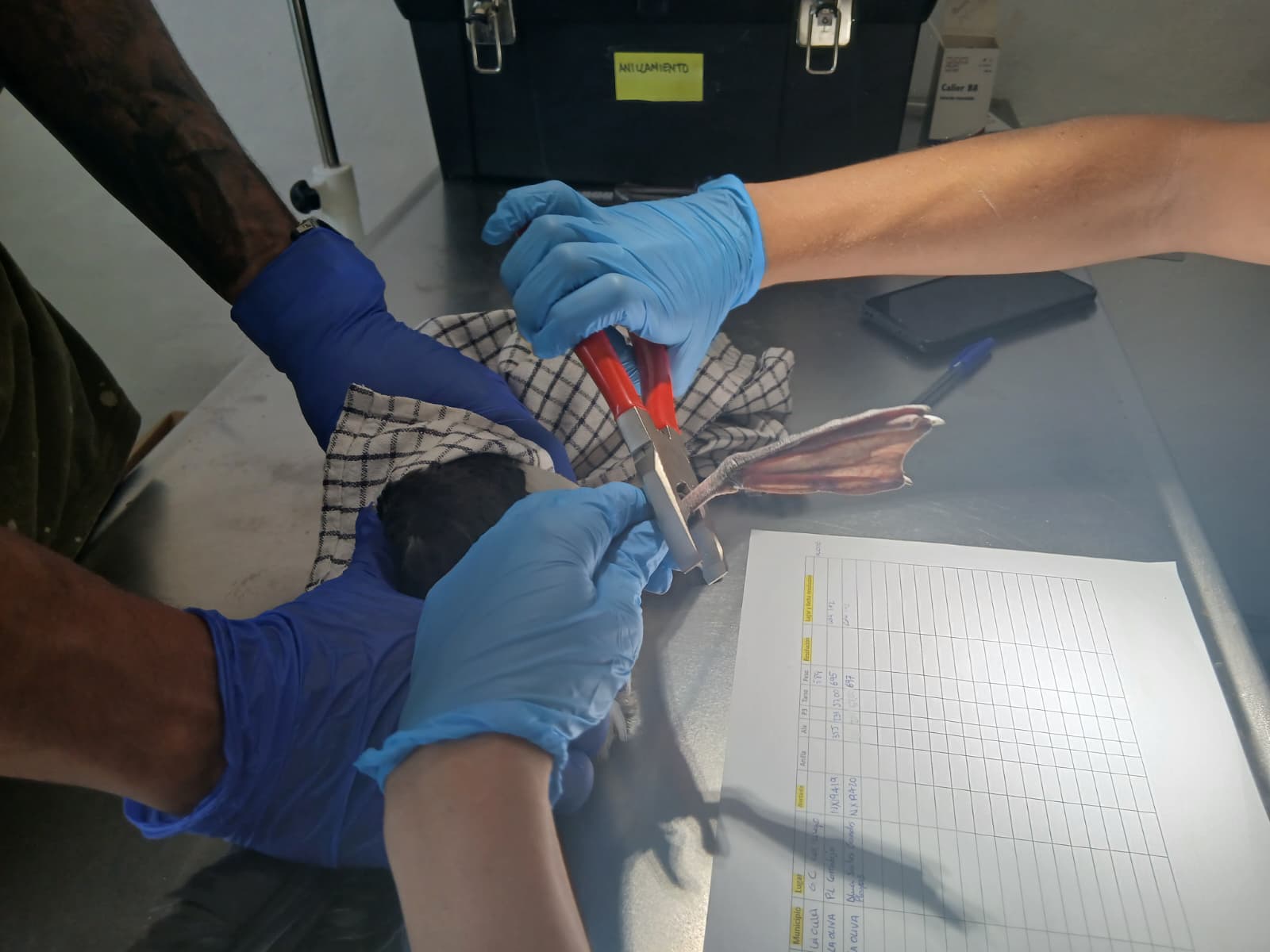 Tierschutz Fuerteventura