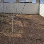 Sicherheit an Schule verbessert mit Video-Türsprechanlagen