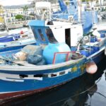 WhatsApp-Image-2026-02-12-at-11.57.41-1