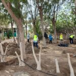 Plan de Empleo startet in Costa Calma