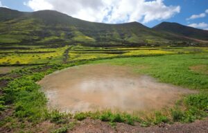 Fuerteventura feiert den Tag der Feuchtgebiete