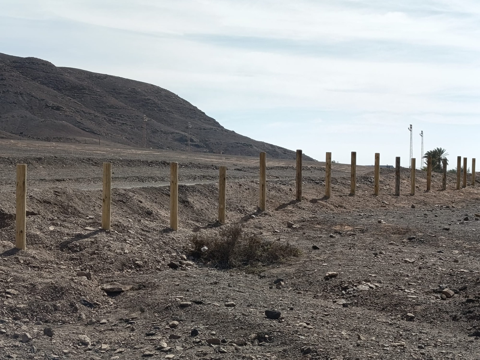 Marisma Gran Tarajal