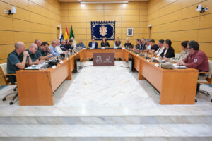 Cabildo und Kanaren Regierung unterstützen Plan gegen illegale Bauten