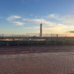 Saladar von Jandía – Projekt zur Naturalisation