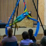 480518808_607053552105388_2278291554420447360_n-1