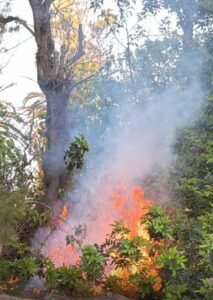 Costa Calma durch Akte von Vandalismus betroffen
