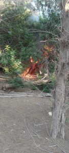 Costa Calma durch Akte von Vandalismus betroffen