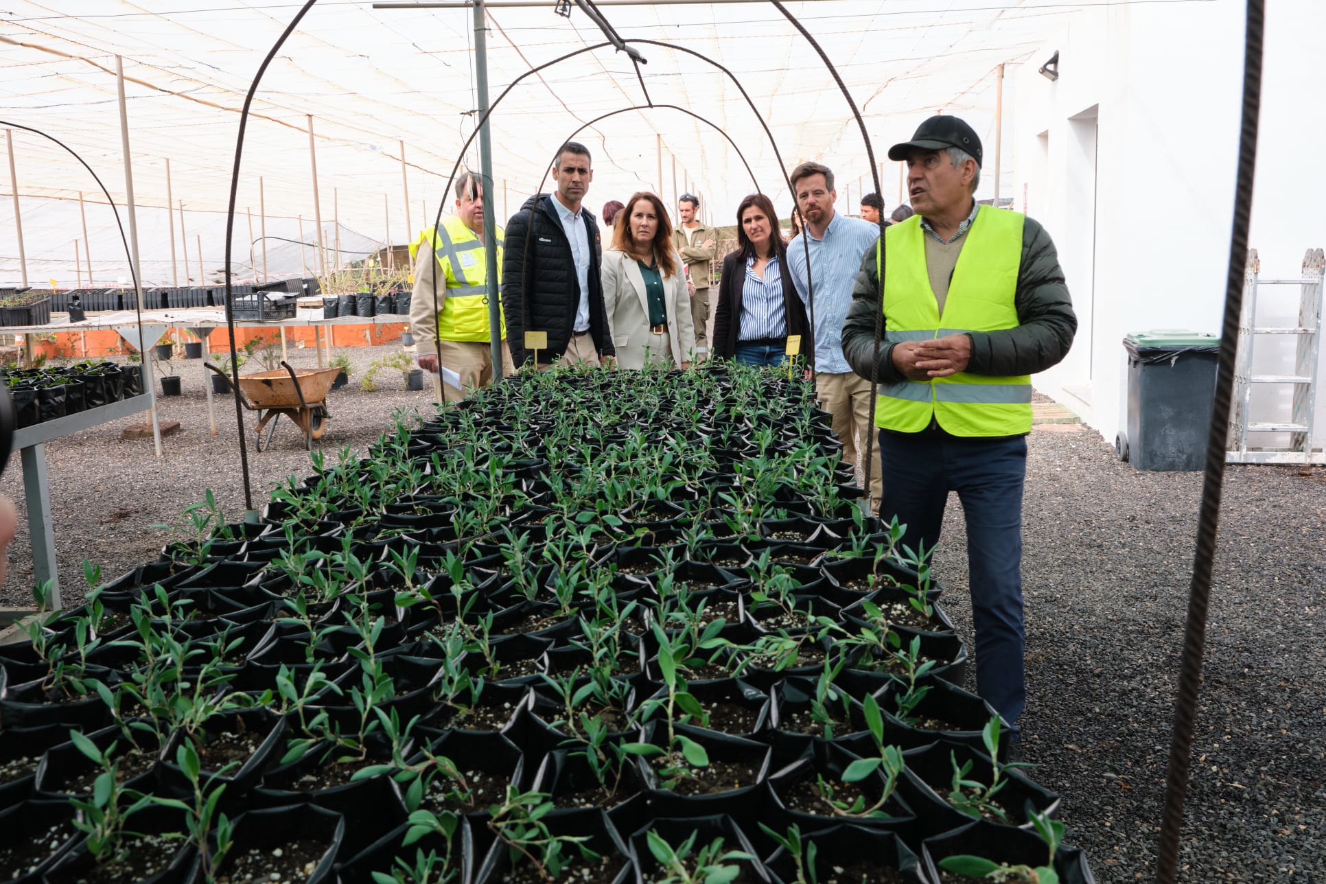 Projekt Restaurierung