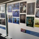 Maxo Arte Joven 2025 in Gran Tarajal