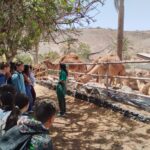 Antigua fördert kostenlose Aktivitäten für Jugendliche