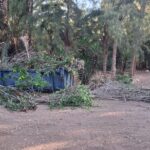 Pájara und Cabildo vereinen Kräfte für Costa Calma