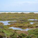 Saladar de Jandía wird naturiert