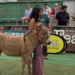 Tofio, Jandía y Niebla: Gewinner beim Burro Majorero-Wettbewerb