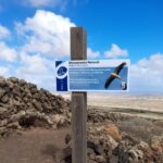 Das Cabildo verstärkt den Schutz der Fauna auf der Insel