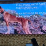 Cabildo koordiniert Jagdpläne auf Fuerteventura
