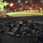 Feaga 2026 begeistert mit innovativer Technologie