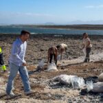Rodoliten – La Oliva bringt eine Tonne Rodoliten an die Küste zurück