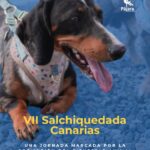 Salchiquedada Canarias fördert Tierwohl in Pájara