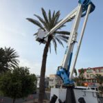 Pflege der Palmen in Gran Tarajal abgeschlossen